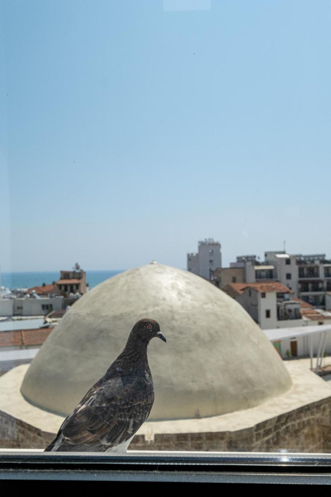 Livadhiotis City Hotel Larnaca Exterior foto
